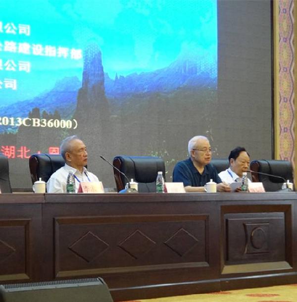出席会议的顾金才、钱七虎、郑颖人院士