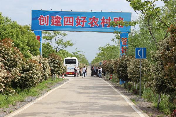 钟祥市九里乡杨桥村农村示范路