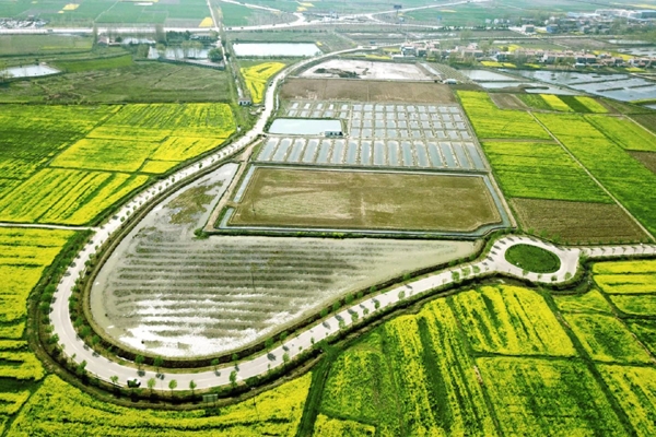 小河镇联盟稻虾产业园区路